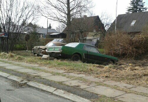 stang.jpg