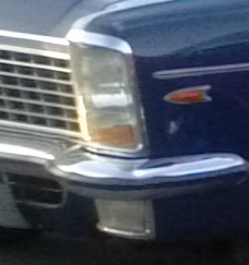 CAM00084crop.jpg