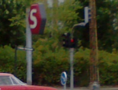 CAM00090guess.jpg