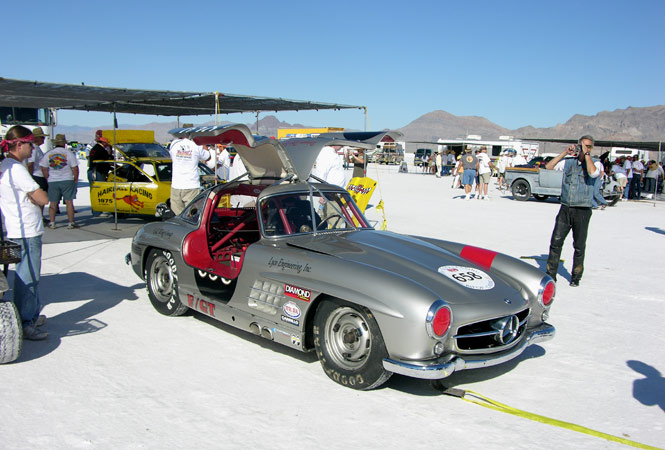 2010_gullwing.jpg