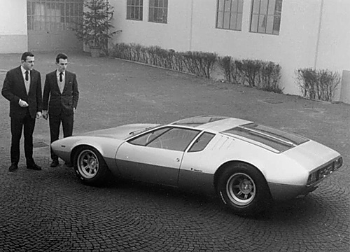 500x_mangusta2