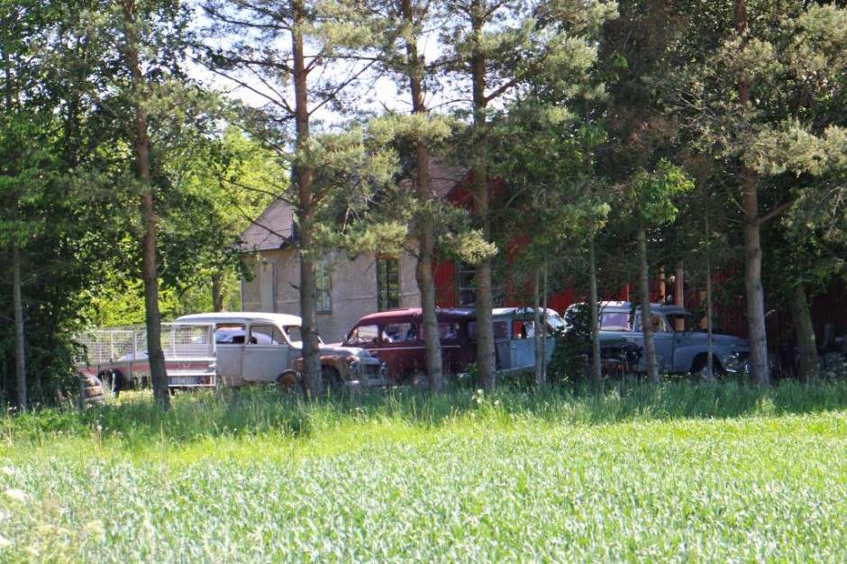 Bare endnu en gennemsnitlig forhave ved en tilfældig landejendom i Sverige…