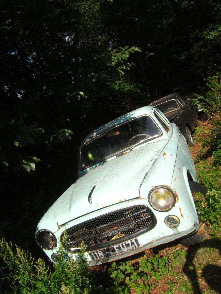 Peugeot'er i kø. 